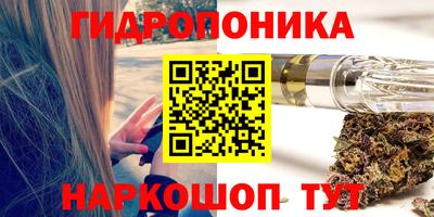 стаф Лесосибирск