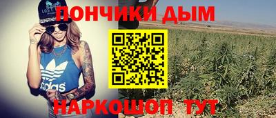 стаф Лесосибирск