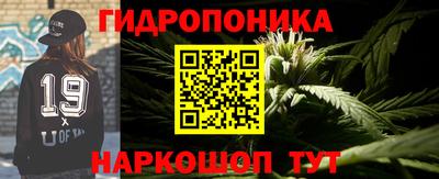 стаф Лесосибирск