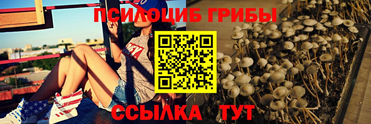 купить  цена  Галлюциногенные грибы Magic Shrooms  Вход с VPN  Десногорск  Галлюциногенные грибы ЛСД 
